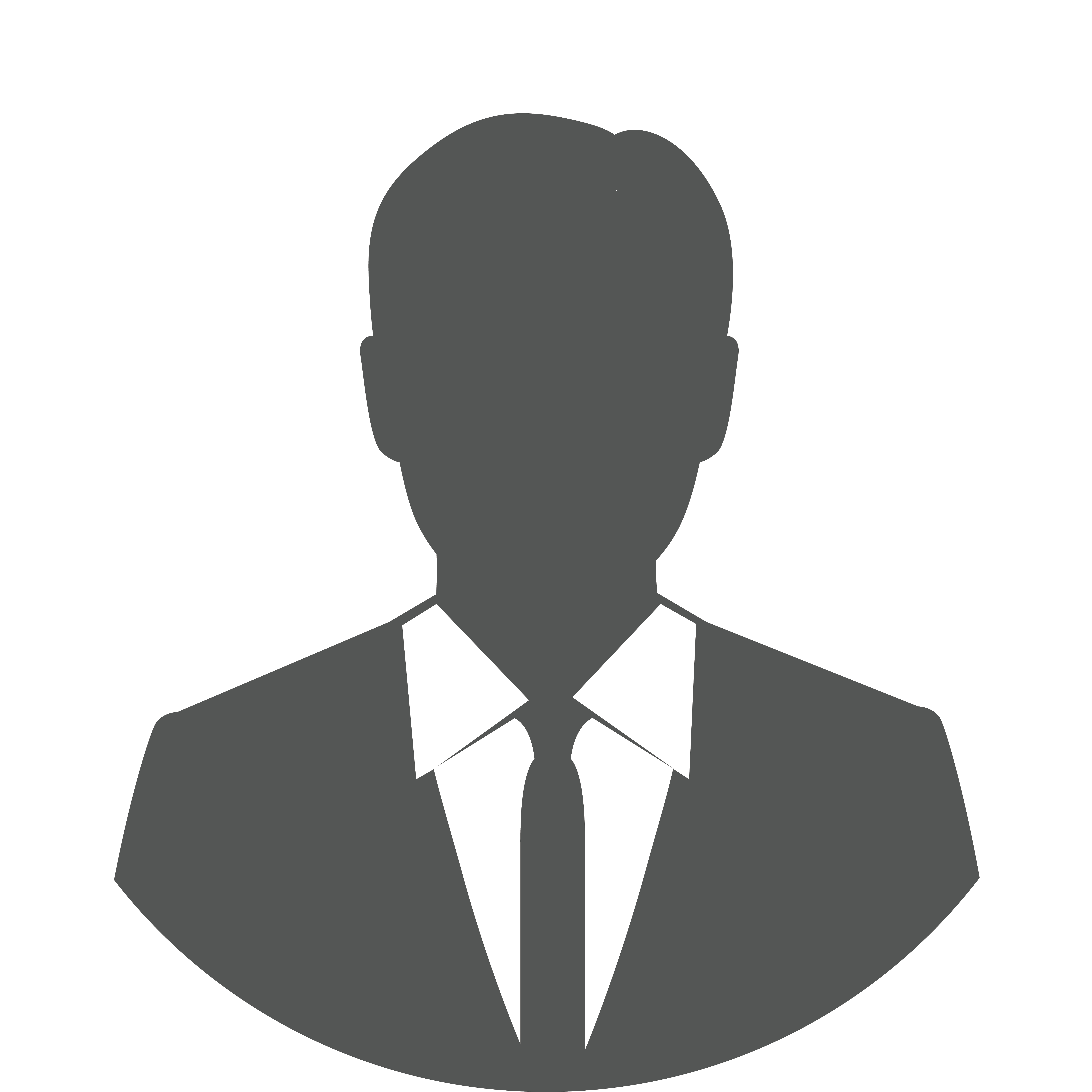 Odvjetnik Darislav Paponja